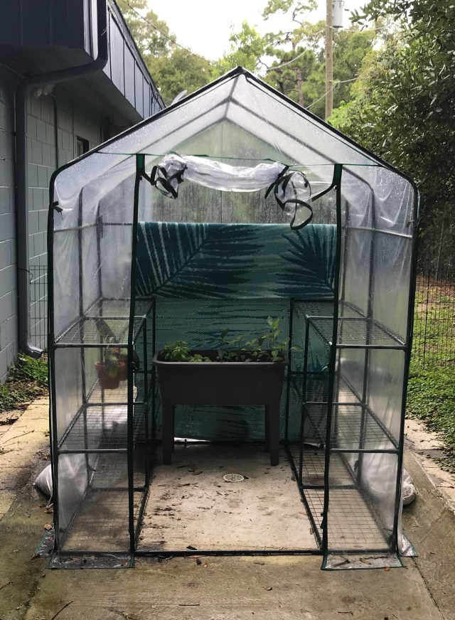 An outdoor greenhouse with a planter inside.
